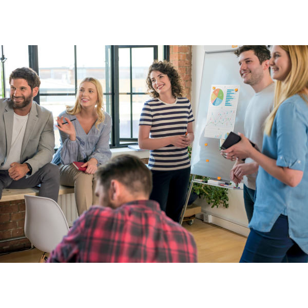 Flipover Classic m/3 ben+arm emaljeret WB