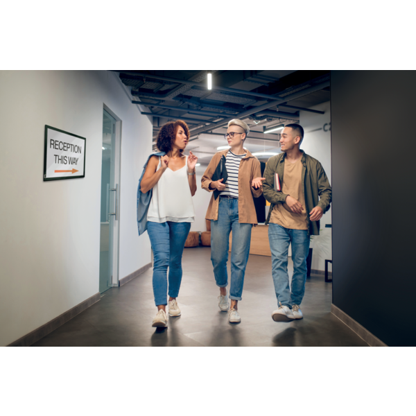 Inforamme magnetisk/selvklæb A4 sort (2)