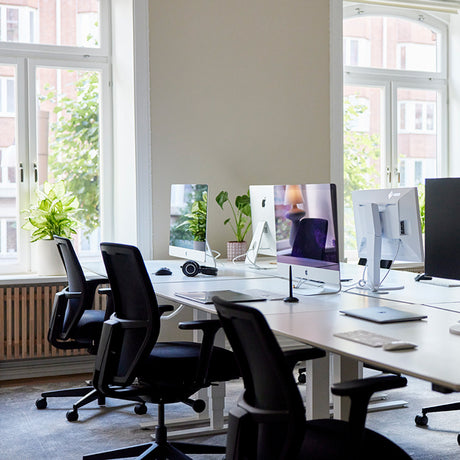 Kontorstol Savo Soul Mesh50 Polstret sæde Sort 2D armlæn