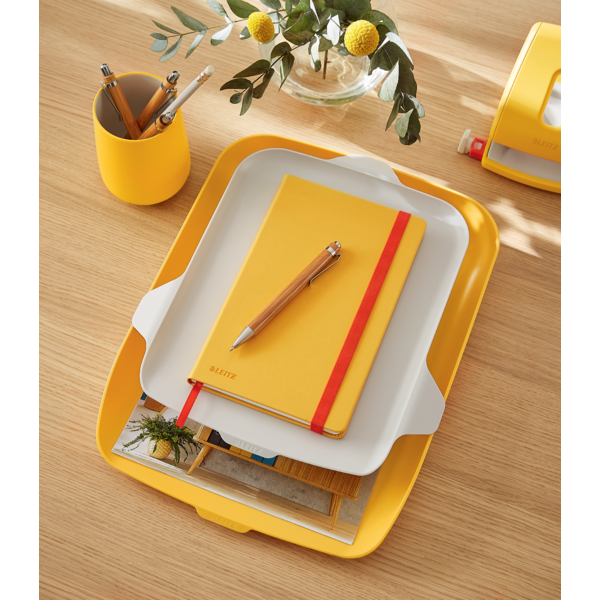 Brevbakke+organizer Cosy gul (2)