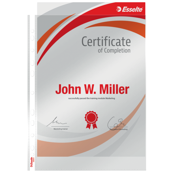 Lomme 105my PP glasklar A4 TÅ (10)