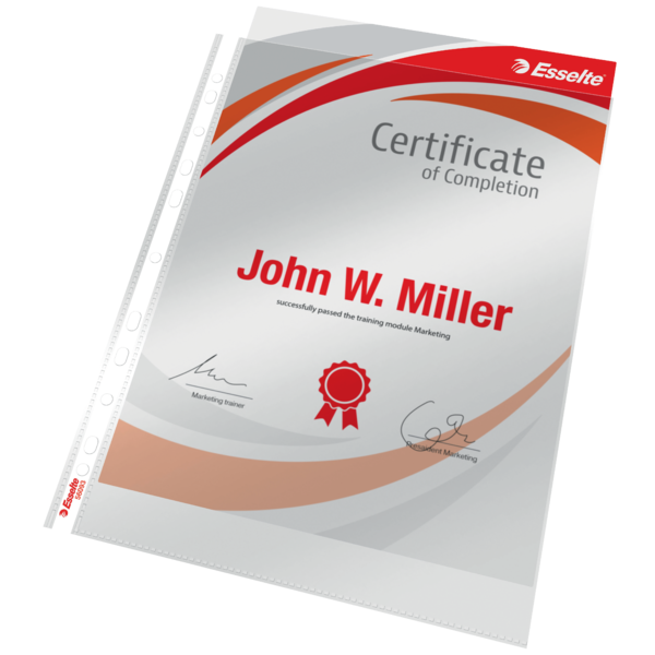 Lomme 105my PP glasklar A4 TÅ (100)