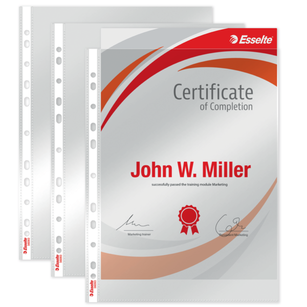 Lomme 105my PP glasklar A4 TÅ (100)