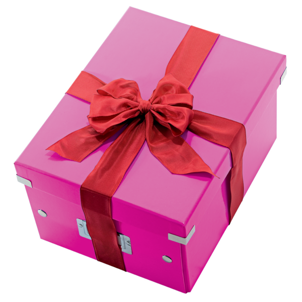 Arkivboks Click&Store lille WOW pink