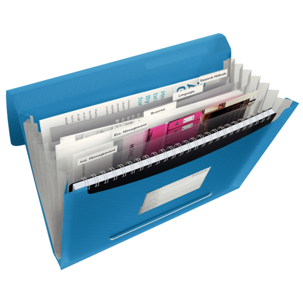Projektmappe Vivida PP A4 blå