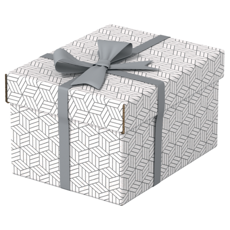 Opbevaringsboks Esselte Home S hvid (3)