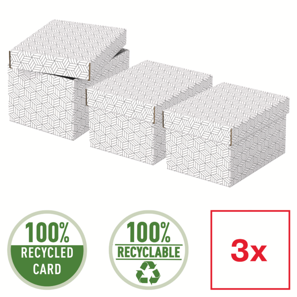 Opbevaringsboks Esselte Home S hvid (3)