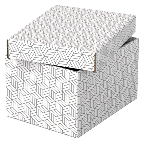 Opbevaringsboks Esselte Home S hvid (3)