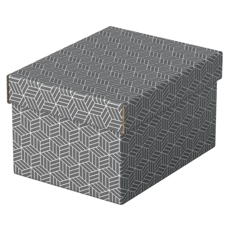 Opbevaringsboks Esselte Home S grå (3)