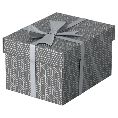 Opbevaringsboks Esselte Home S grå (3)