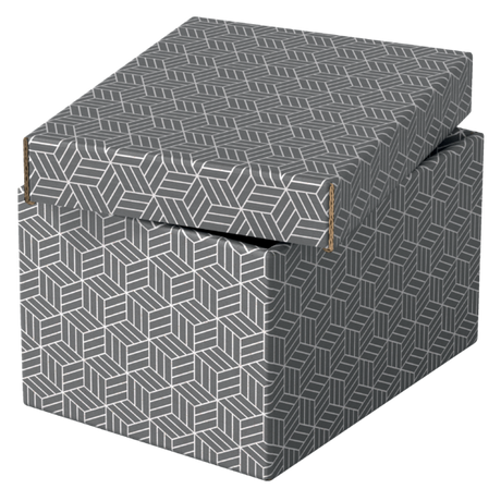 Opbevaringsboks Esselte Home S grå (3)