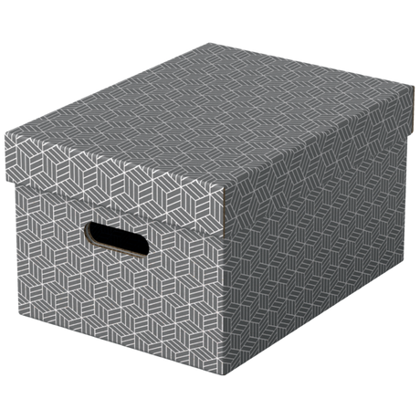 Opbevaringsboks Esselte Home M grå (3)