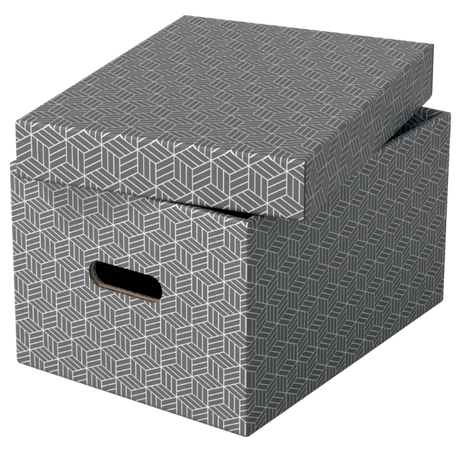 Opbevaringsboks Esselte Home M grå (3)