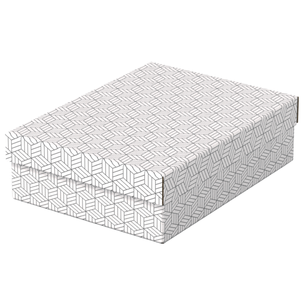 Opbevaringsboks Esselte Home M Low hvid (3)