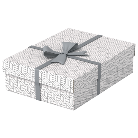 Opbevaringsboks Esselte Home M Low hvid (3)