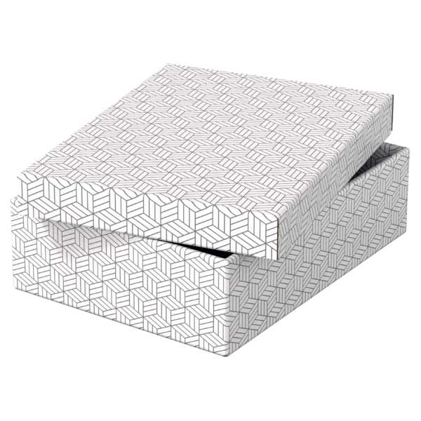 Opbevaringsboks Esselte Home M Low hvid (3)