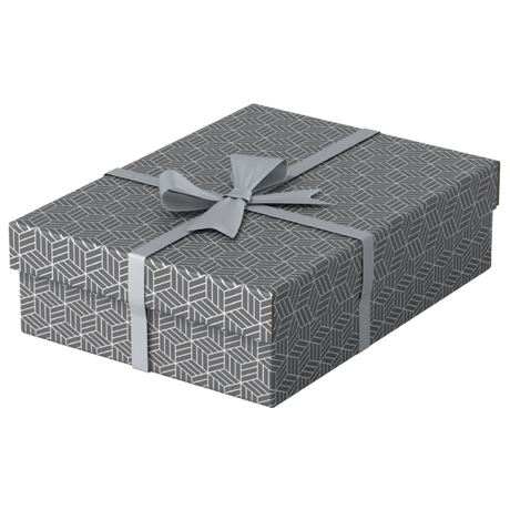 Opbevaringsboks Esselte Home M Low grå (3)