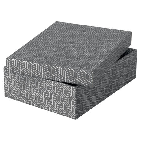 Opbevaringsboks Esselte Home M Low grå (3)