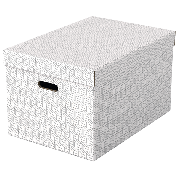 Opbevaringsboks Esselte Home L hvid (3)