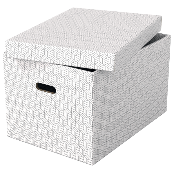 Opbevaringsboks Esselte Home L hvid (3)