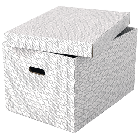 Opbevaringsboks Esselte Home L hvid (3)