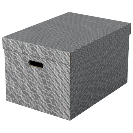 Opbevaringsboks Esselte Home L grå (3)