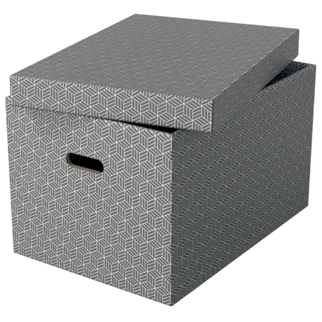 Opbevaringsboks Esselte Home L grå (3)