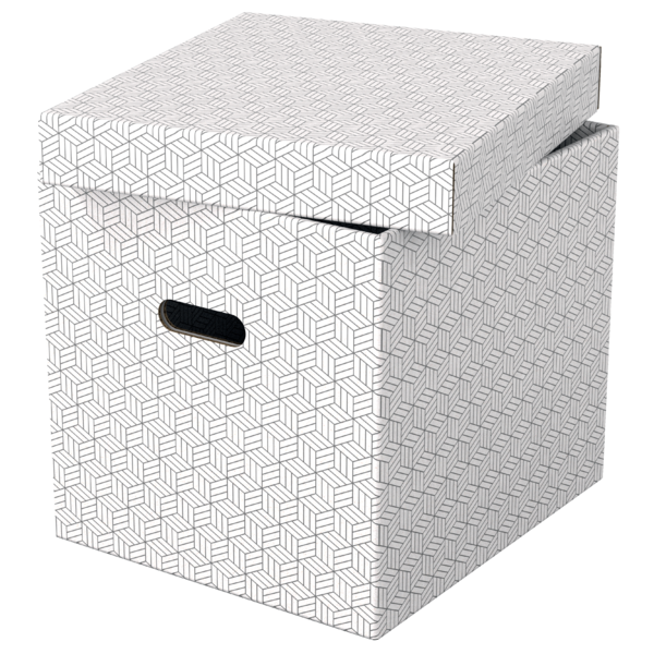 Opbevaringsboks Esselte Home Cube hvid(3)