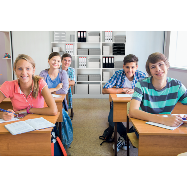 Opbevaringsboks Esselte Home Cube hvid(3)