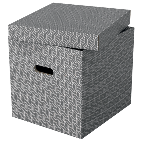Opbevaringsboks Esselte Home Cube grå (3)