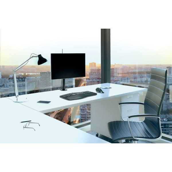 Kensington Monitor Arm Single SmartFit Ergo Black