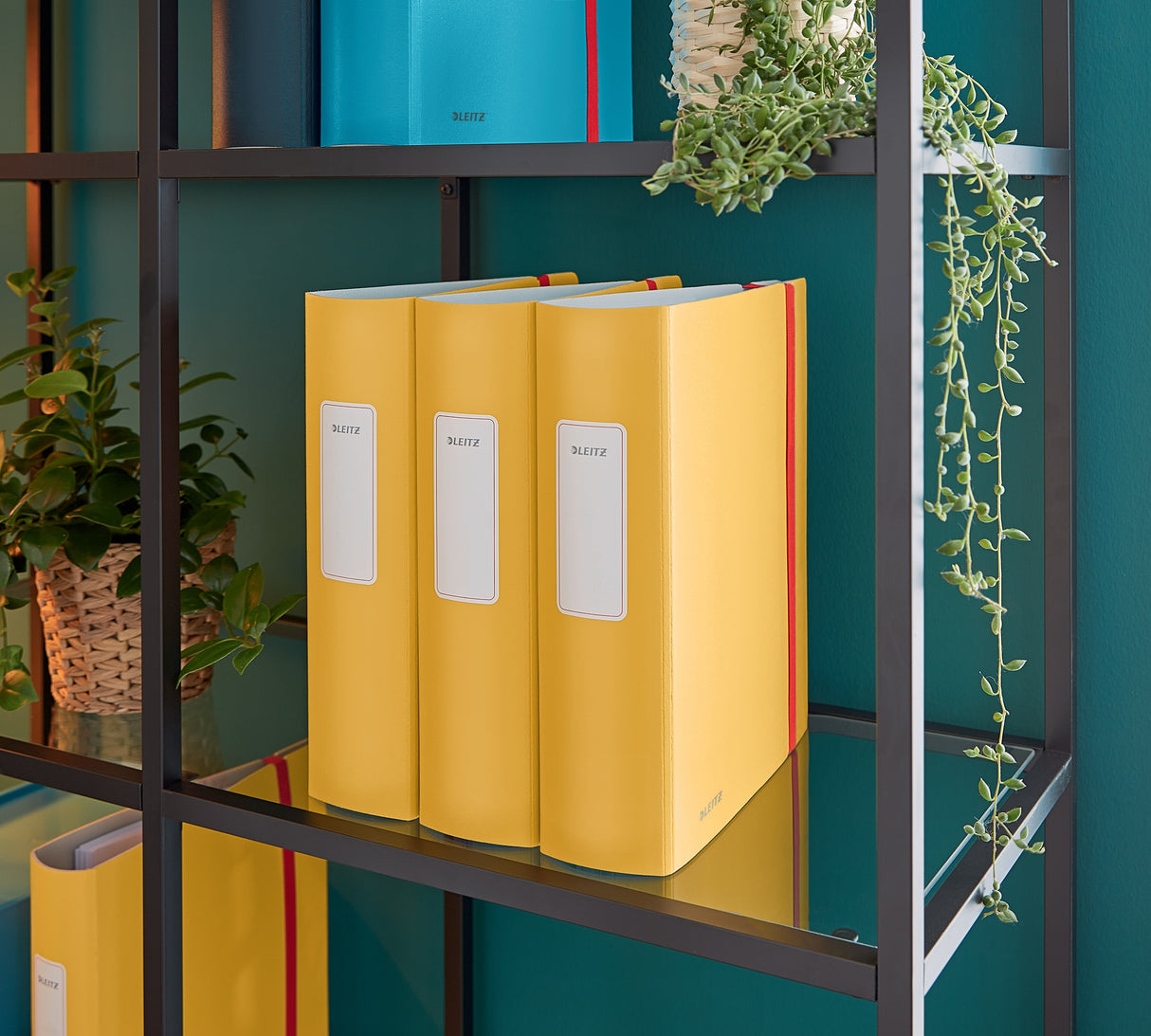 Brevordner Cosy Active PP A4 80mm gul