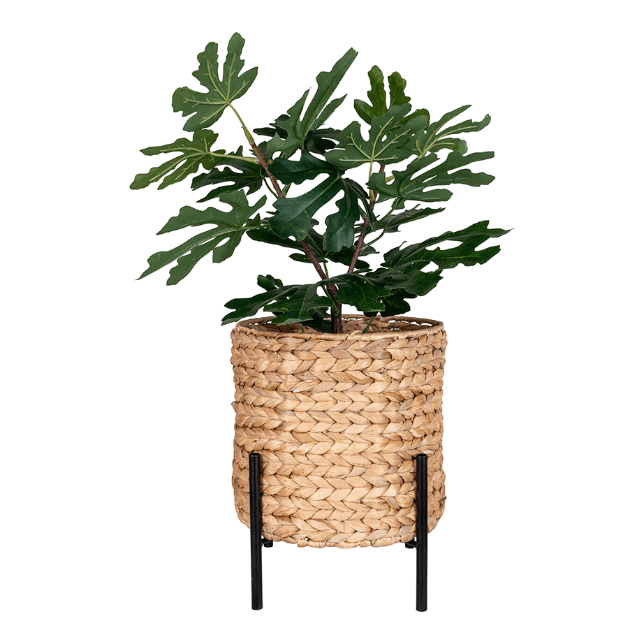 Plant pot water hyacinth inspiration 1 70853.png