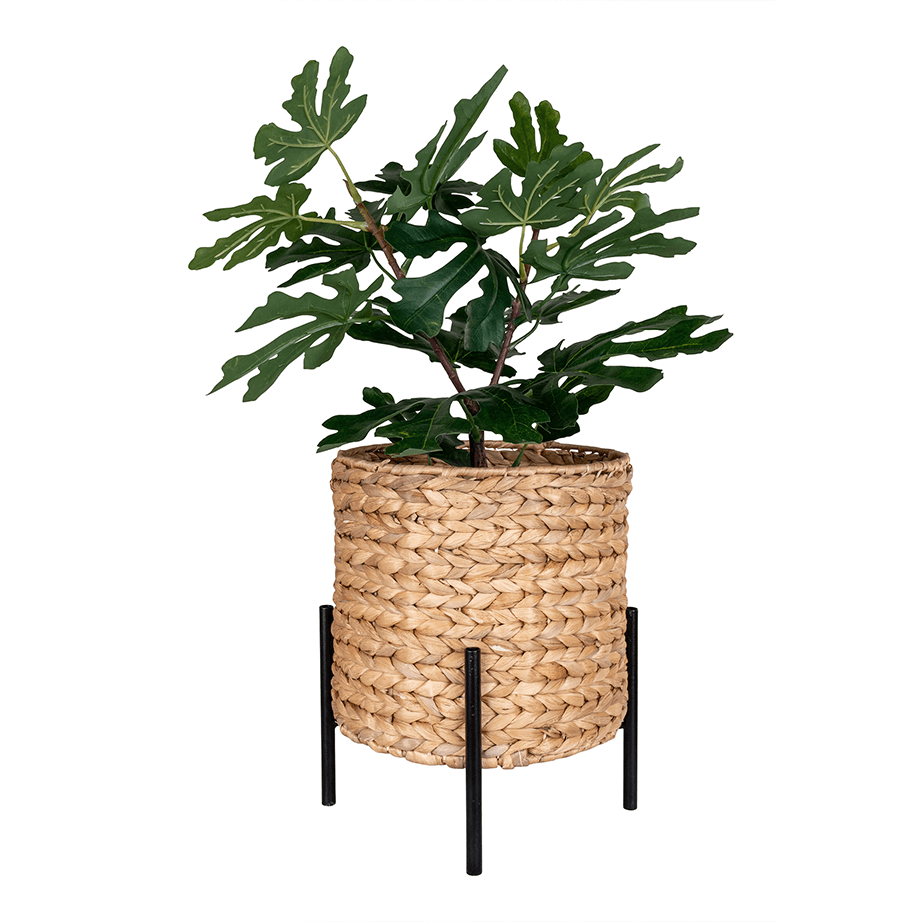 Plant pot water hyacinth inspiration 2 70853.png