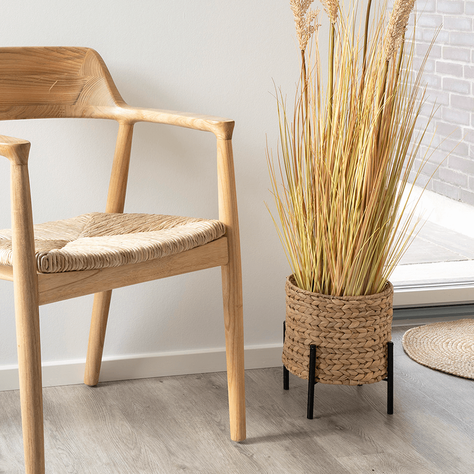 Plant pot water hyacinth inspiration 3 70853.png