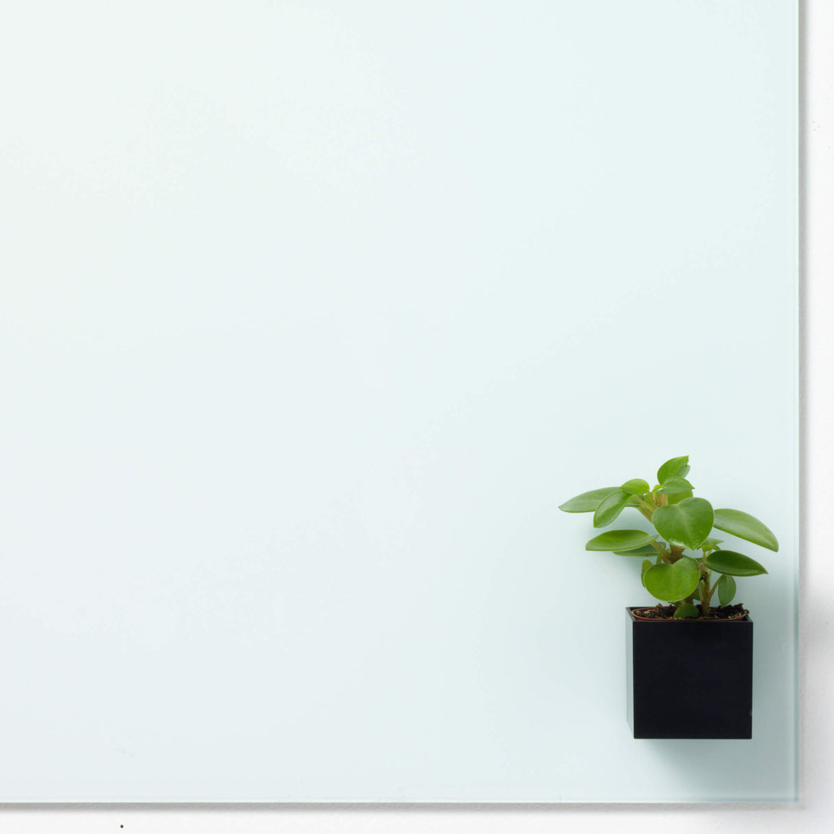 Magnetisk Boks, Sort, Super Stærk Magnetisk