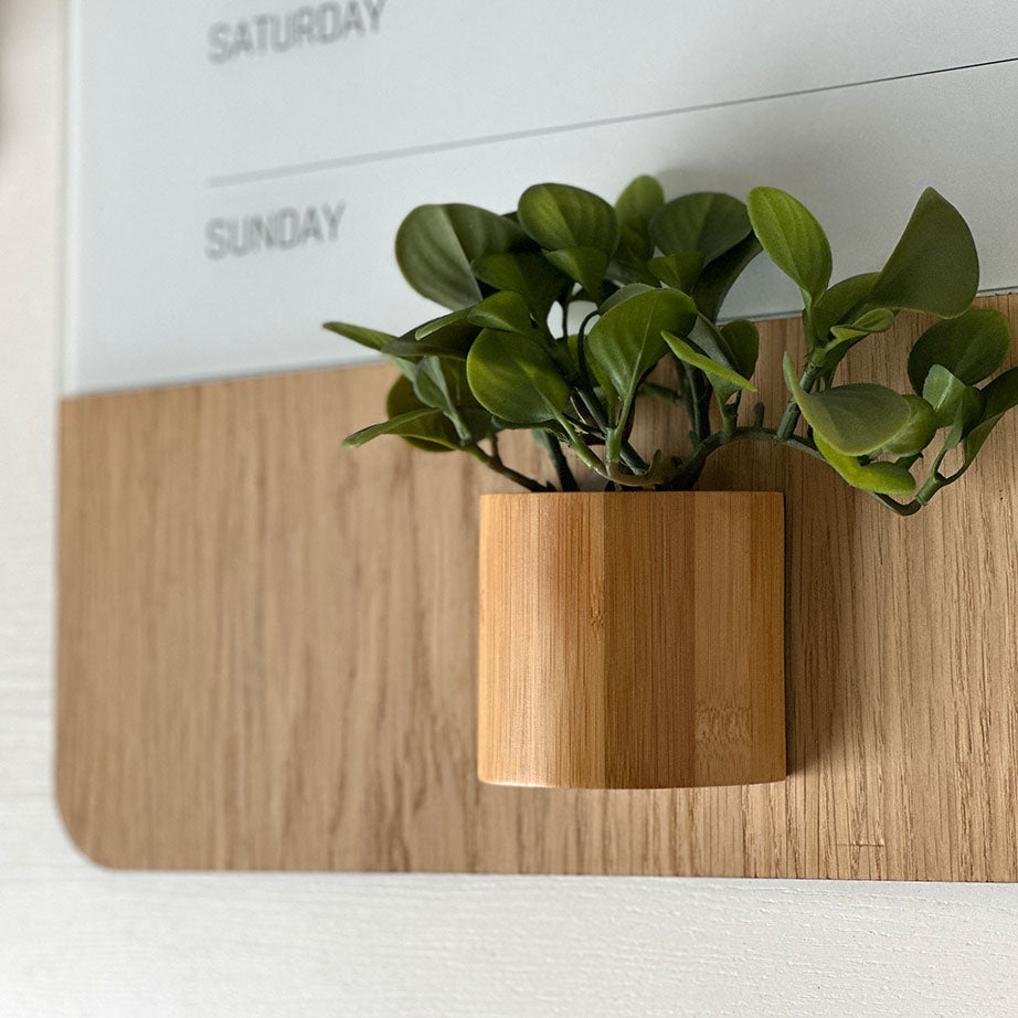 Magnetisk Boks, Bambus, Super Stærk Magnetisk