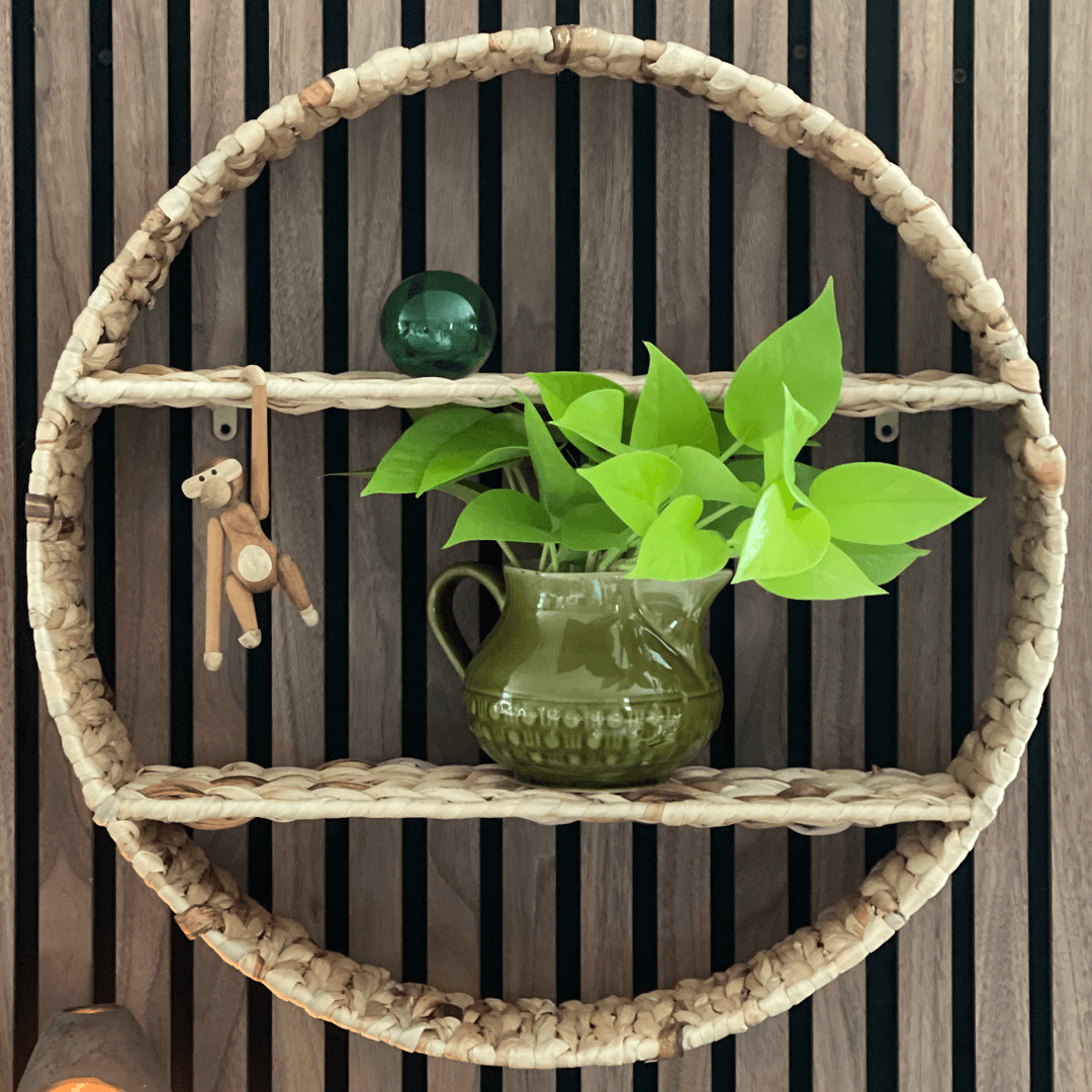 Water hyacinth shelf oe50cm 70921.png