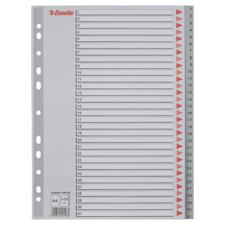 Register PP A4 1-31 grå
