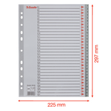Register PP A4 1-31 grå