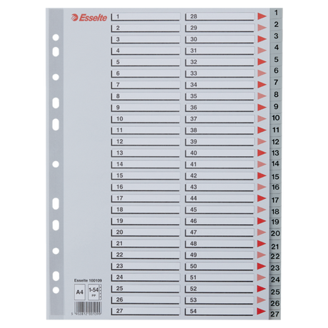 Register PP A4 1-54 grå