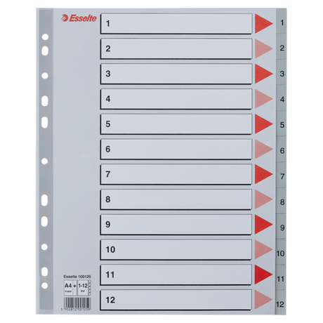 Register PP A4 maxi 1-12 grå