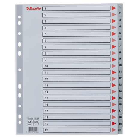 Register PP A4 maxi 1-20 grå