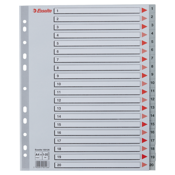 Register PP A4 maxi 1-20 grå