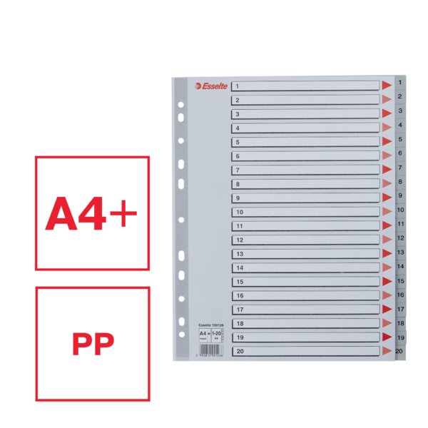 Register PP A4 maxi 1-20 grå