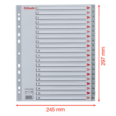 Register PP A4 maxi 1-20 grå