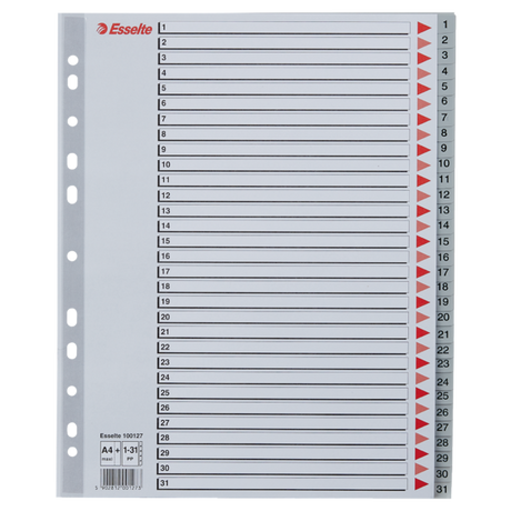 Register PP A4 maxi 1-31 grå
