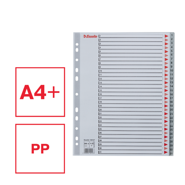 Register PP A4 maxi 1-31 grå