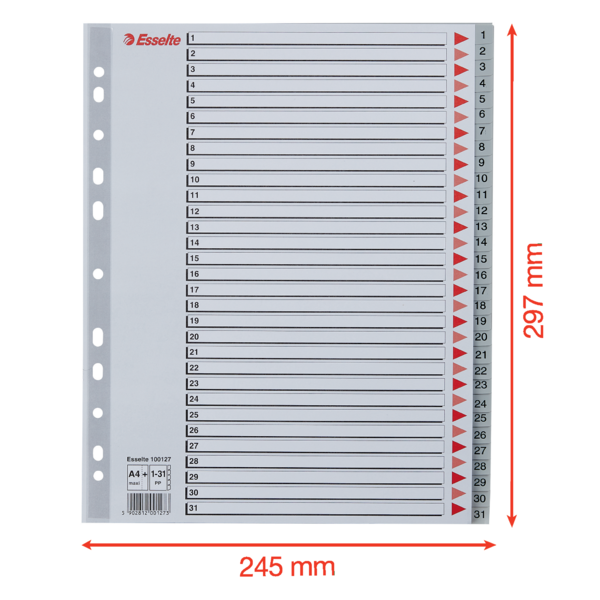 Register PP A4 maxi 1-31 grå