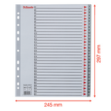 Register PP A4 maxi 1-31 grå